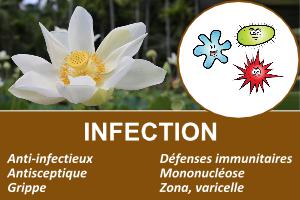 infections