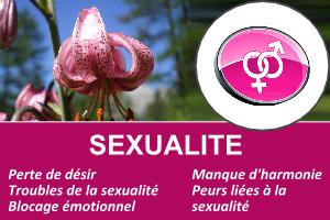 sexualite