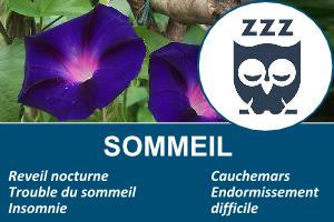 sommeil