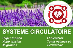 systeme-circulatoire