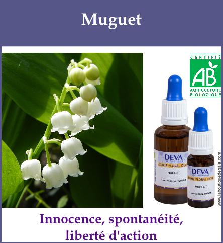 Muguet 2