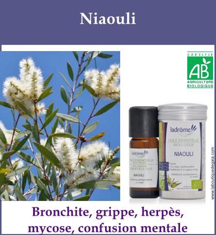 Niaouli