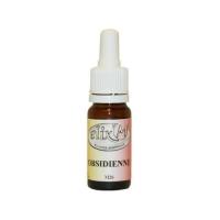 Obsidienne elixir mineral vecteu