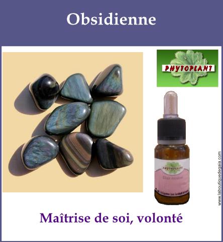 Obsidienne