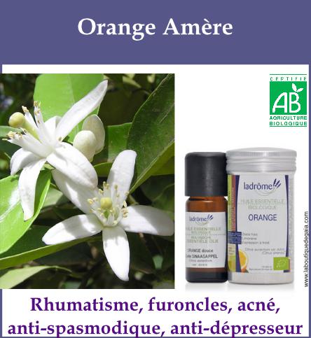 Orange amere 1
