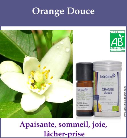 Orange douce 1