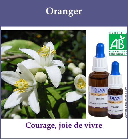 Oranger 2