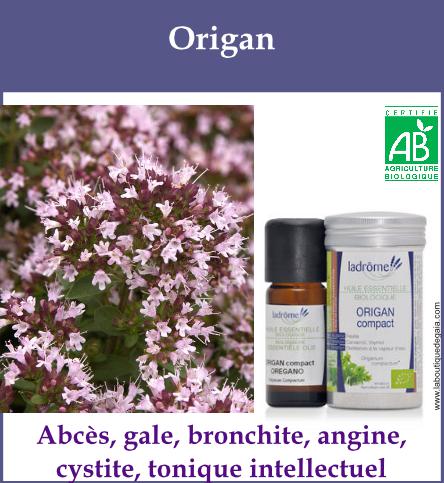 Origan