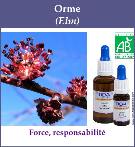 Orme 4