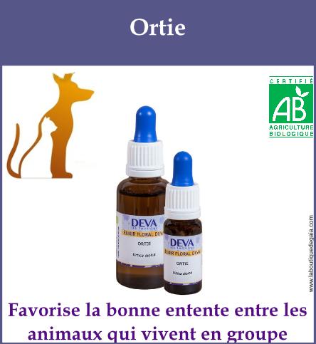 Ortie animaux
