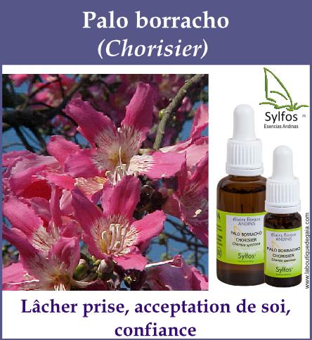 Palo borracho 5