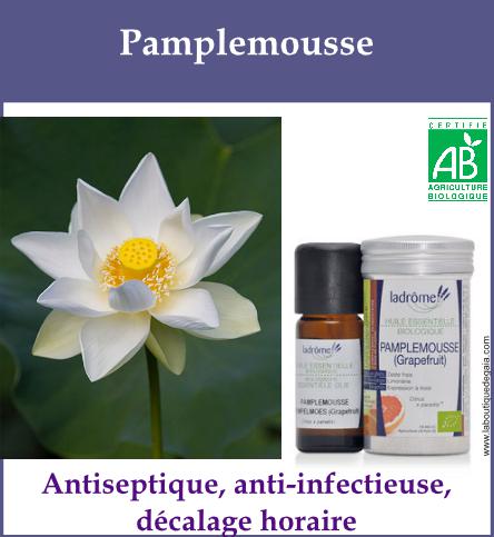 Pamplemousse