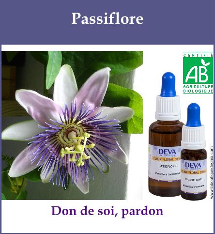 Passiflore 2
