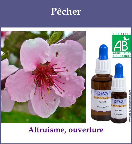 Pecher 2