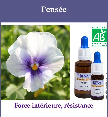 Pensee 2