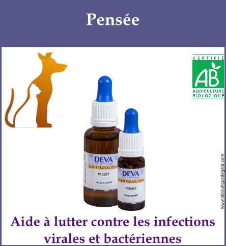 Pensee animaux