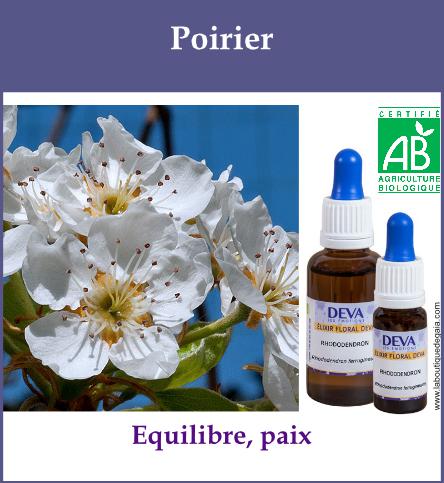 Poirier 2