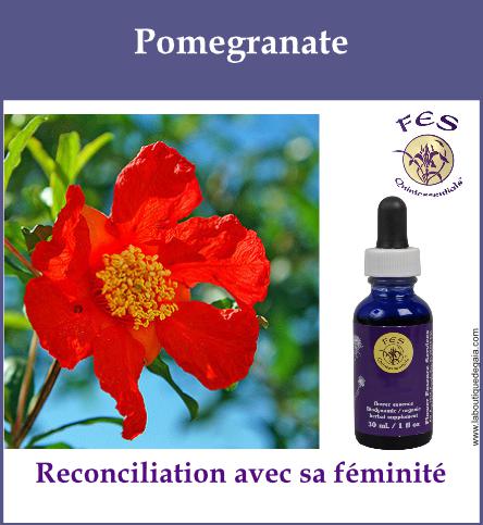 Pomegranate