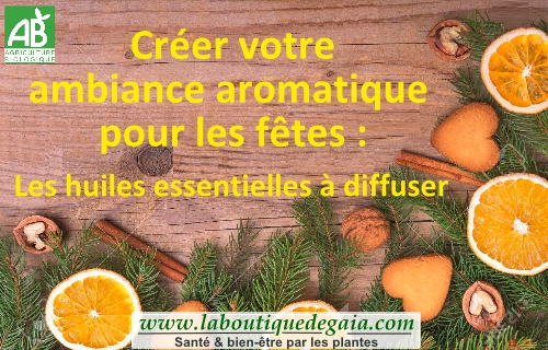 Faites le plein d'idées cadeaux bio : Pour un Noël naturel