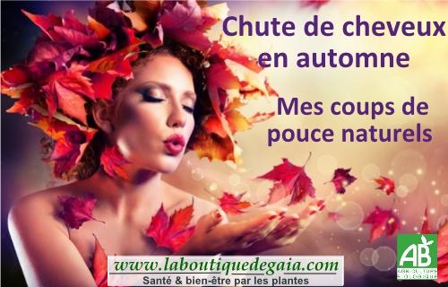 Post chute de cheveux en automne page001 1