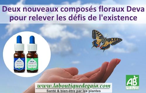 Acheter Erable - Compte-Goutte 10 ml de élixir floral Deva