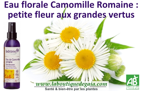 Post eau camomille 9