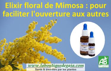 Post elixir floral mimosa 