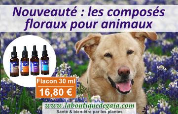 Post elixirs animaux 01 17