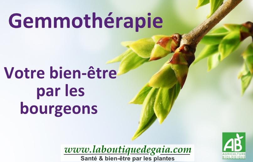 Gemmothérapie : Votre bien-être par les bourgeons