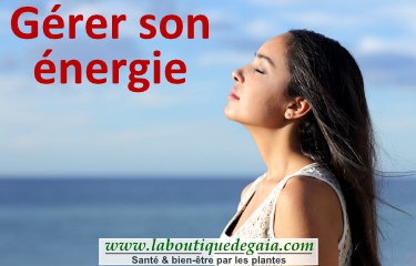 Post gerer son energie 