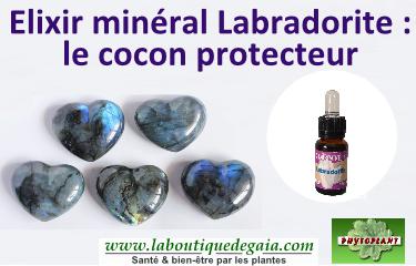 Coeur en labradorite - La Voie Minérale