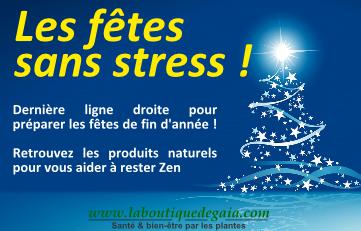 Post les fetes sans stress 12 16