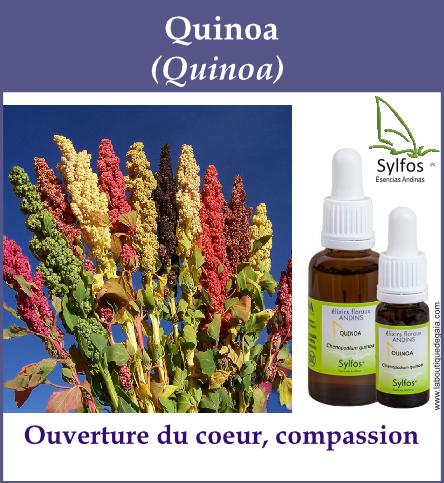 Quinoa 5