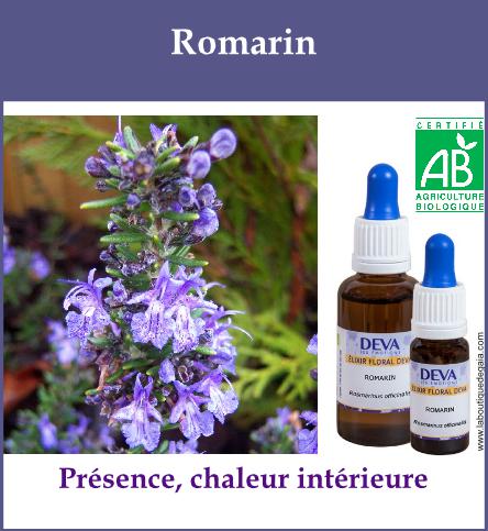 Romarin 2