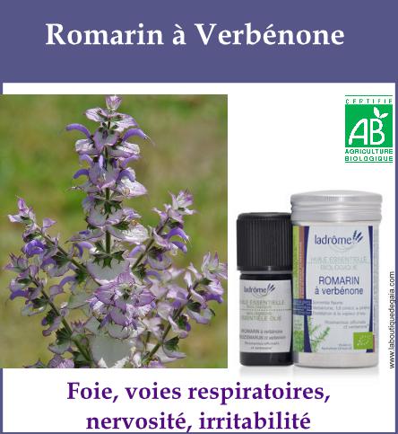 Romarin a verbenone