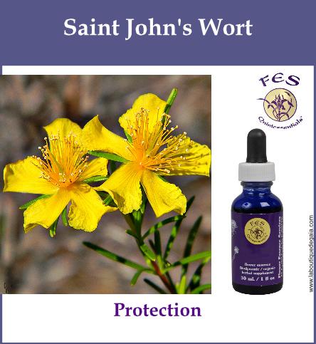 Saint johns wort