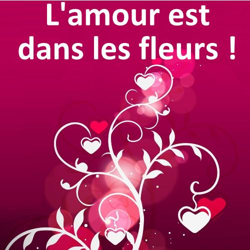 Saint valentin 