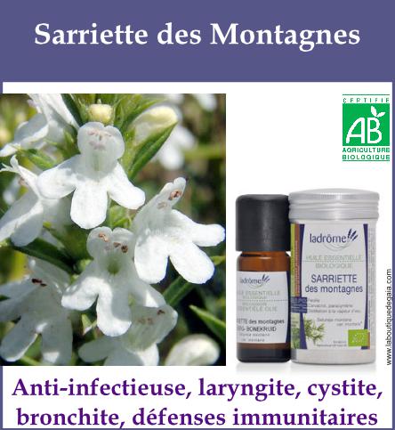 Sarriette des montagnes
