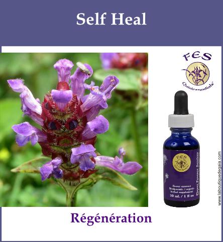 Self heal