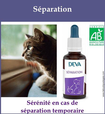 Separation animaux 1