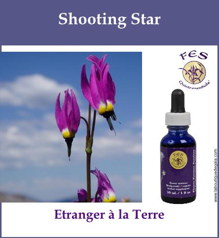 Shooting star