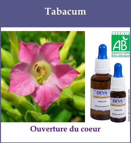 Tabacum 2