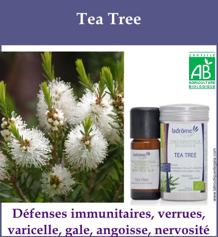 Tea tree