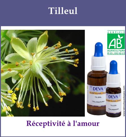 Tilleul 2