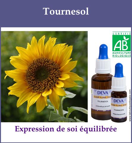 Tournesol 2