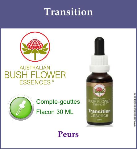 Transition 1