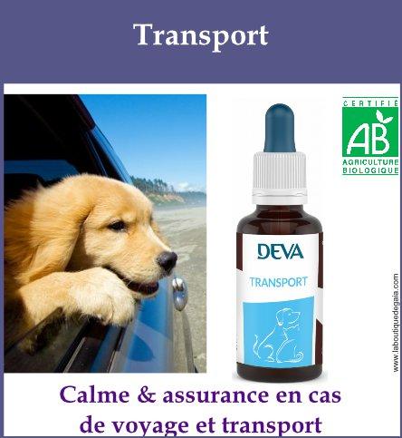 Transport animaux 1