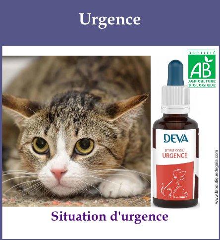 Urgence animaux