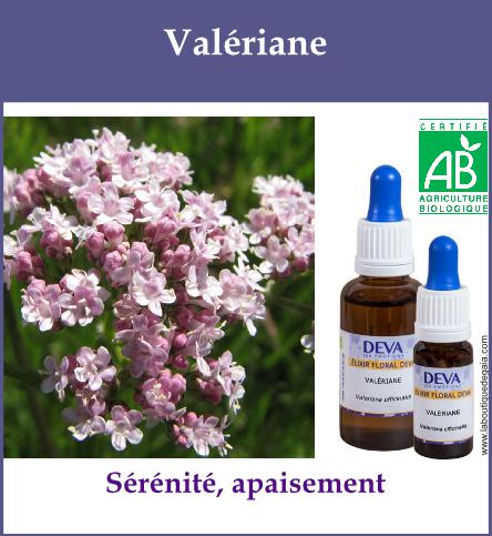 Valeriane 2