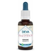 Verveine 3